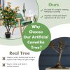 3.3 Feet Artificial Camellia Tree for Indoor and Outdoor